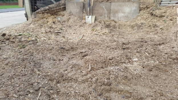 41793837_1106264469538083_2160487537661968384_o